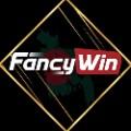 fancywintech1